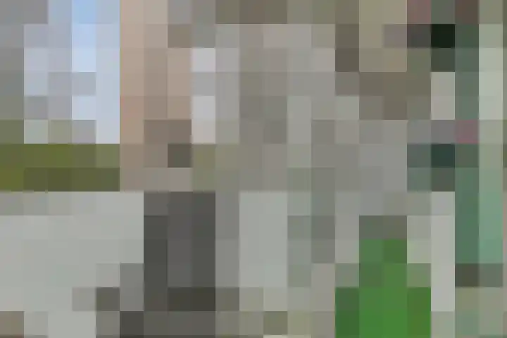 Forellendaal 786 Den Haag thumbnail 33