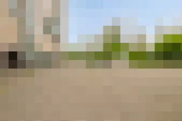 Forellendaal 786 Den Haag thumbnail 35