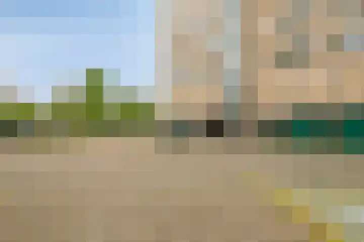 Forellendaal 786 Den Haag thumbnail 36