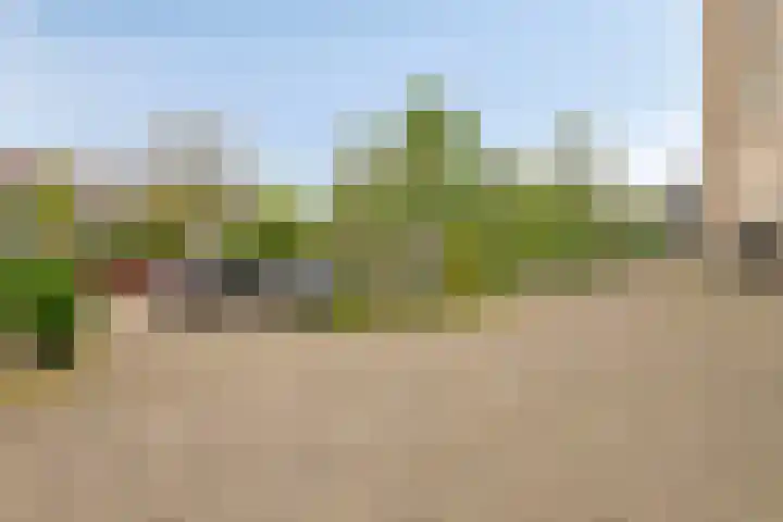 Forellendaal 786 Den Haag thumbnail 37