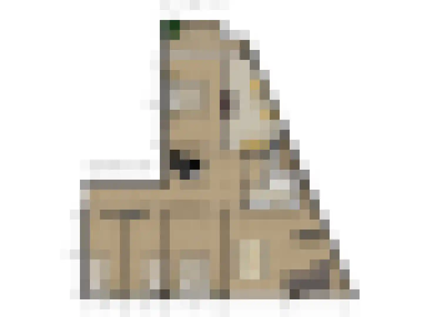 Forellendaal 898 Den Haag thumbnail 44