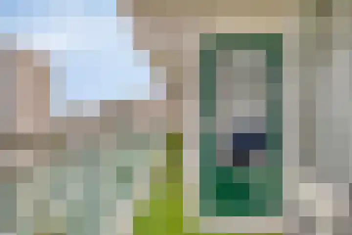 Forellendaal 906 Den Haag thumbnail 17