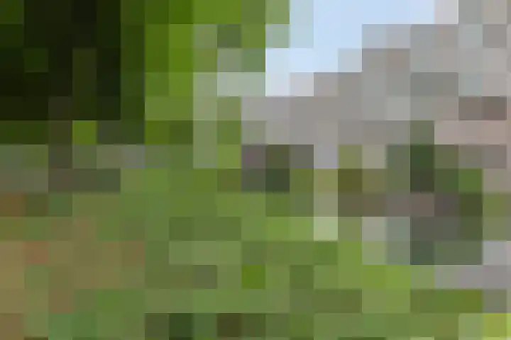 Forellendaal 906 Den Haag thumbnail 27