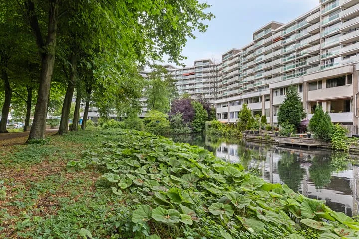 Forellendaal 906 Den Haag thumbnail 27