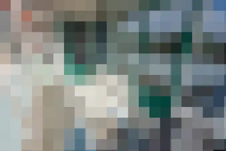 Forellendaal 938 Den Haag thumbnail 19