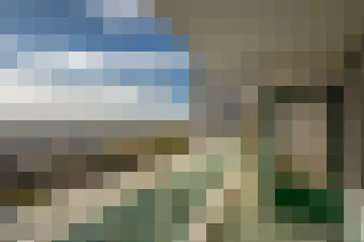 Forellendaal 972 Den Haag thumbnail 13
