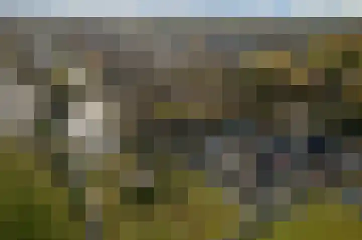 Forellendaal 972 Den Haag thumbnail 14