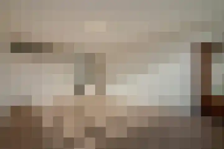 Forellendaal 972 Den Haag thumbnail 15