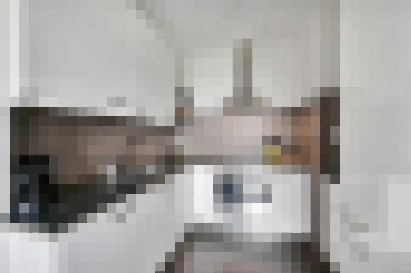 Forellendaal 98 Den Haag thumbnail 10