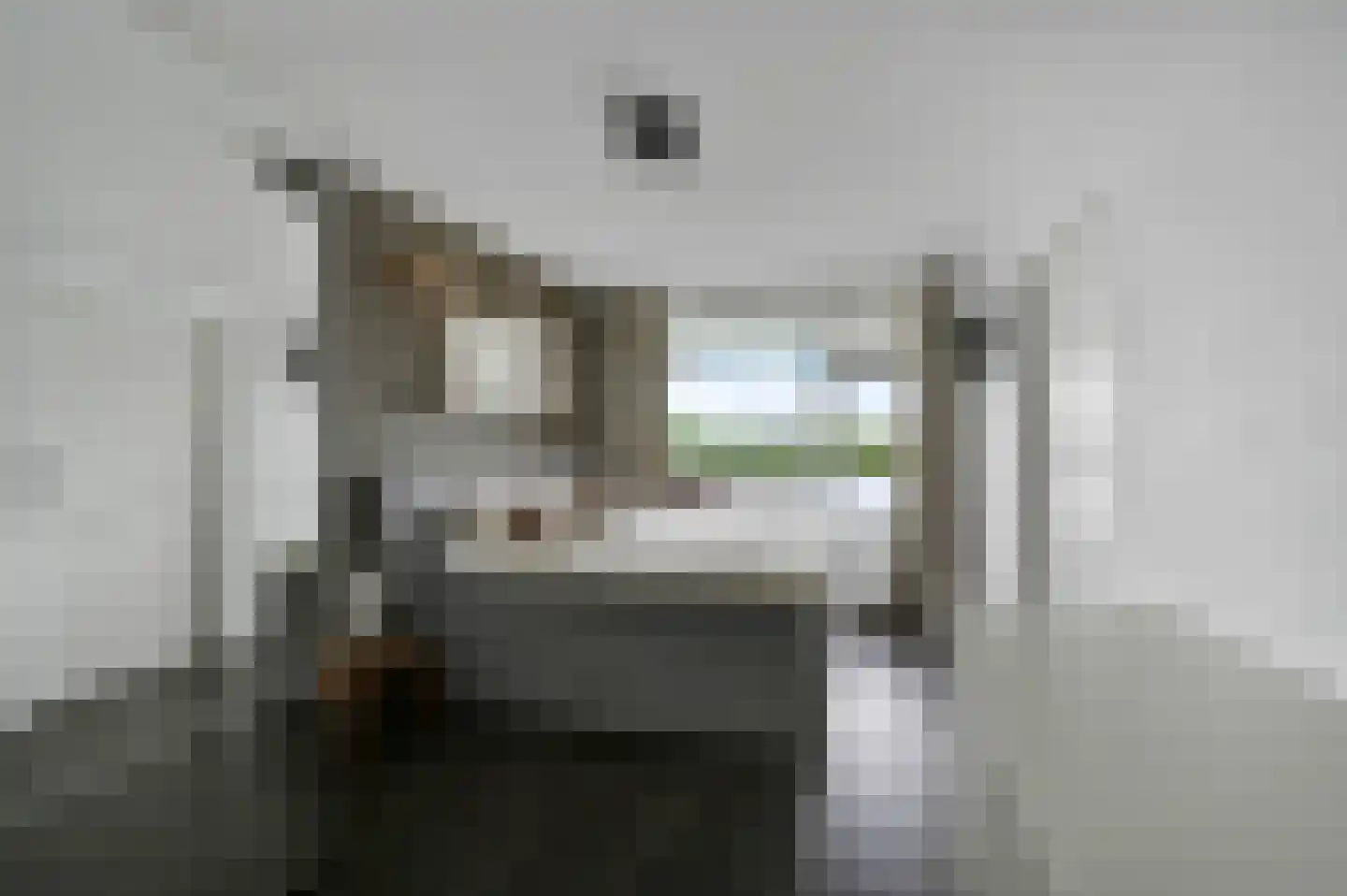 Forellendaal 98 Den Haag thumbnail 13