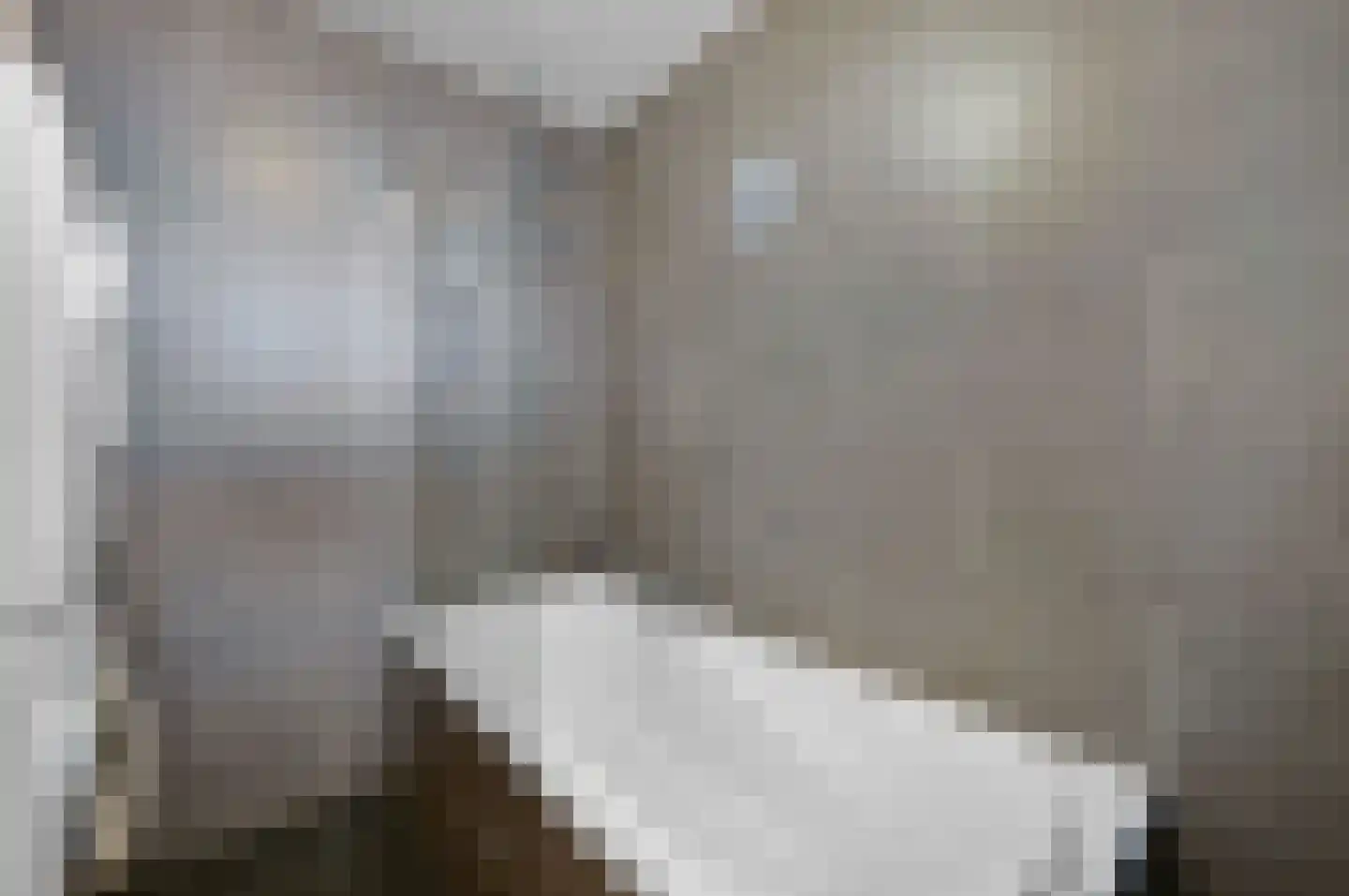 Forellendaal 98 Den Haag thumbnail 17