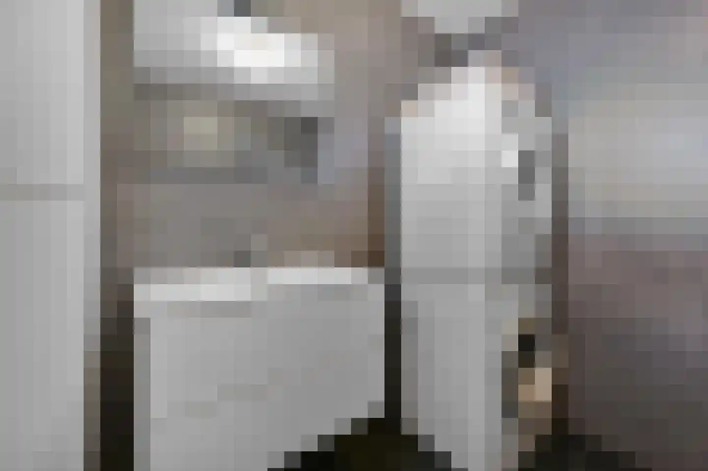 Forellendaal 98 Den Haag thumbnail 18
