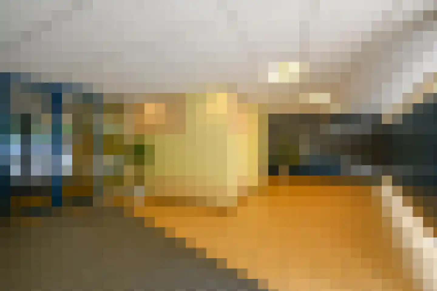 Forellendaal 98 Den Haag thumbnail 24