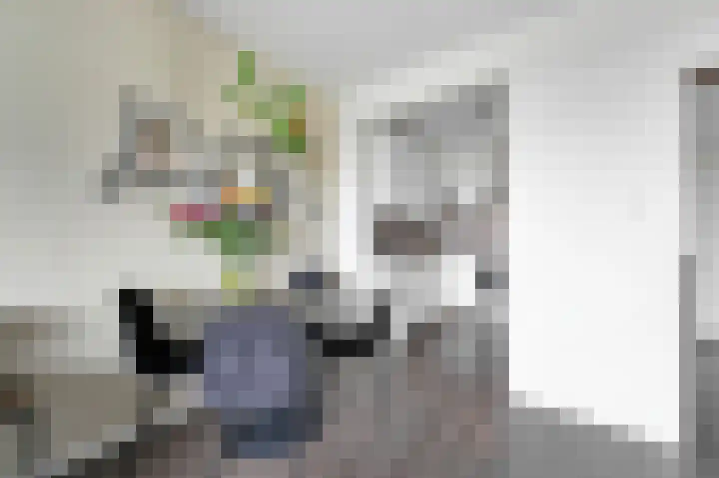 Forellendaal 98 Den Haag thumbnail 9