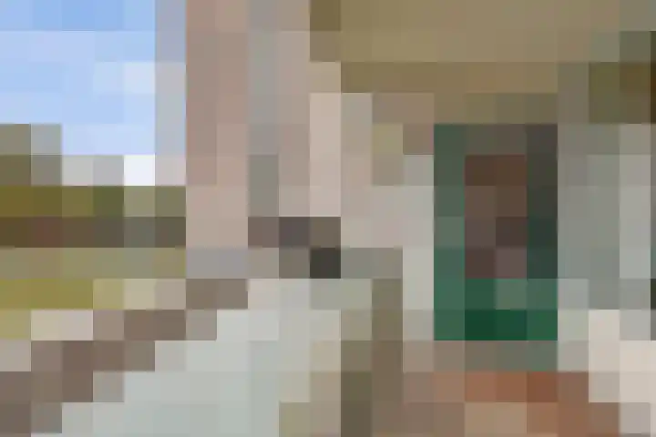 Forellendaal 984 Den Haag thumbnail 16