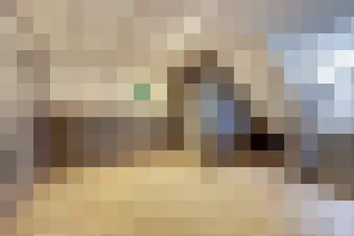Forellendaal 984 Den Haag thumbnail 18