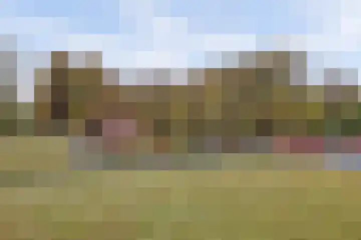 Forellendaal 984 Den Haag thumbnail 21