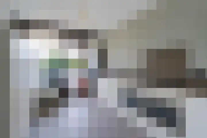 Forellendaal 988 Den Haag thumbnail 10