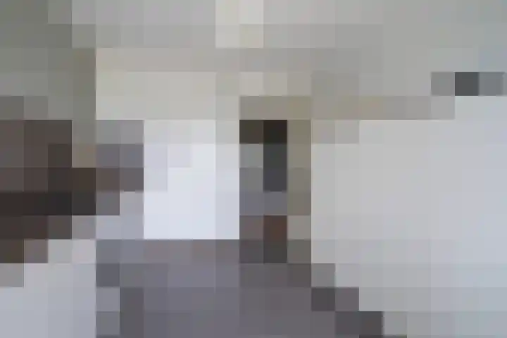 Forellendaal 988 Den Haag thumbnail 11