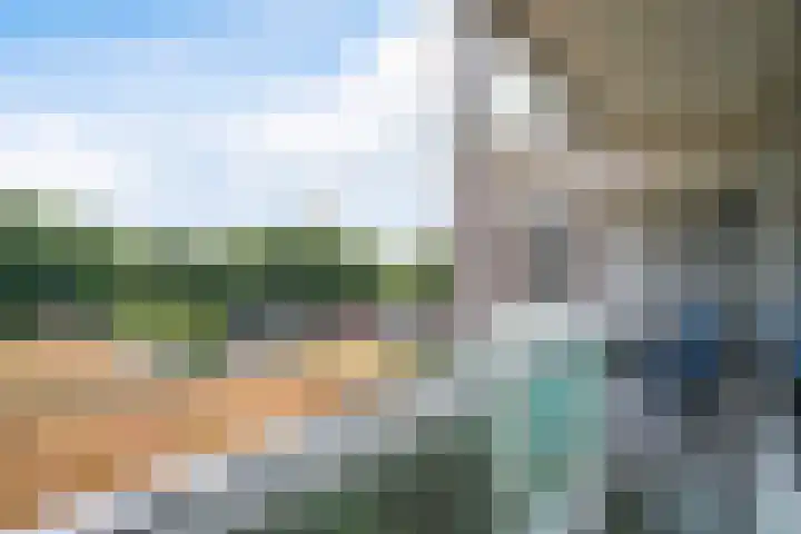 Forellendaal 988 Den Haag thumbnail 12