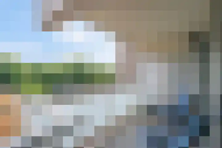 Forellendaal 988 Den Haag thumbnail 13