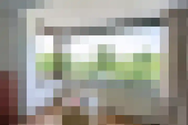 Forellendaal 988 Den Haag thumbnail 16