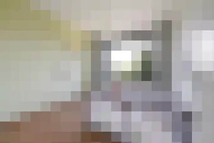 Forellendaal 988 Den Haag thumbnail 19