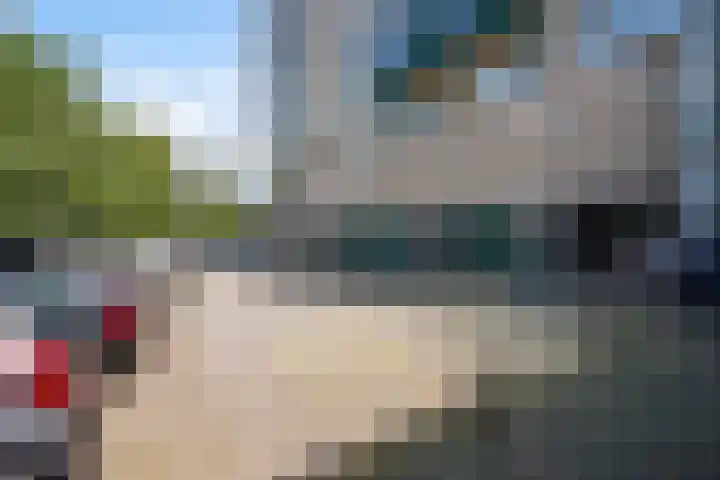Forellendaal 988 Den Haag thumbnail 25