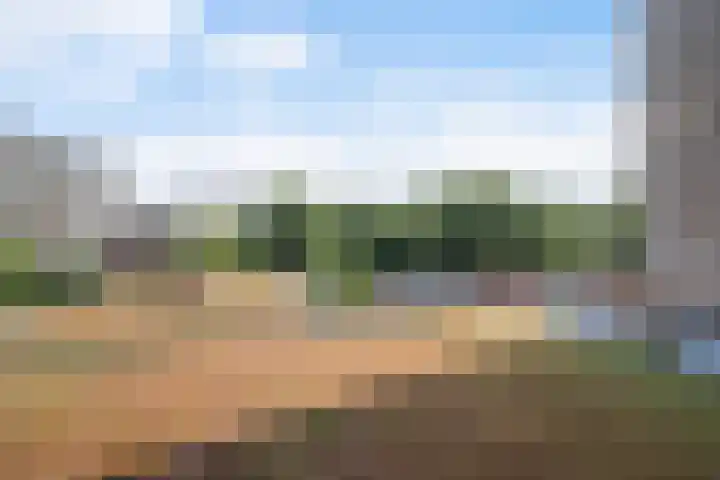 Forellendaal 988 Den Haag thumbnail 29