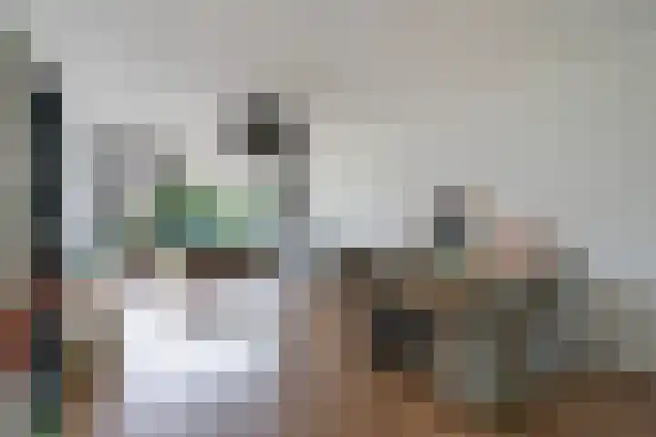 Forellendaal 988 Den Haag thumbnail 5