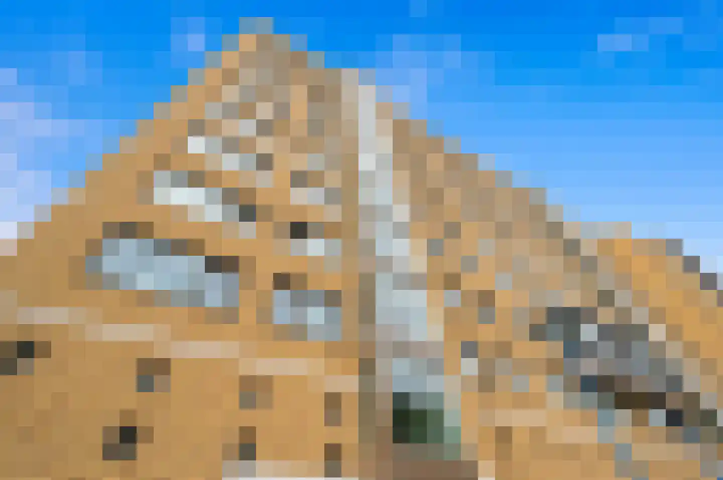 Forellendaal 998 Den Haag thumbnail 38