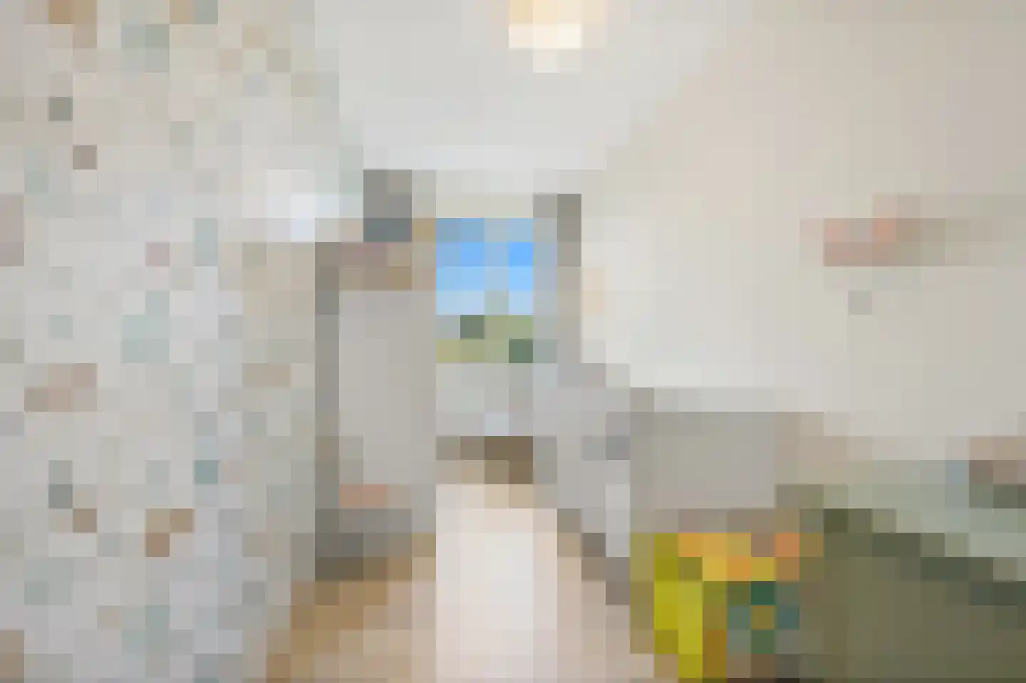 Forellendaal 998 Den Haag thumbnail 9
