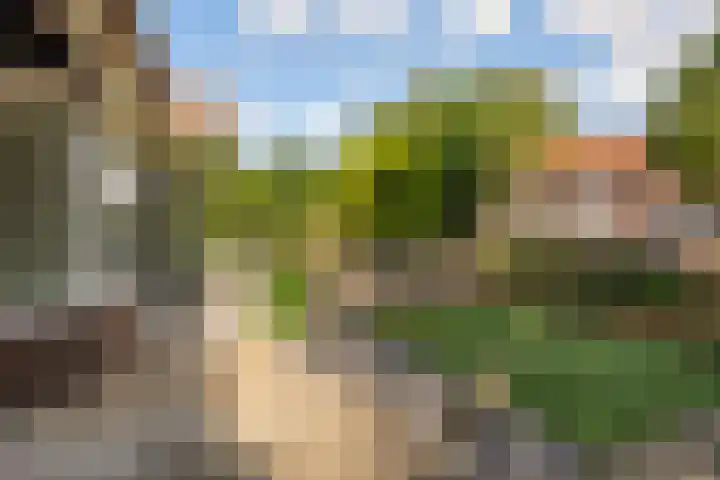 Forelstraat 14 Arnhem thumbnail 33