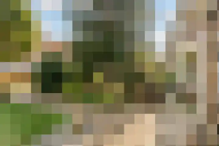 Forelstraat 14 Arnhem thumbnail 6