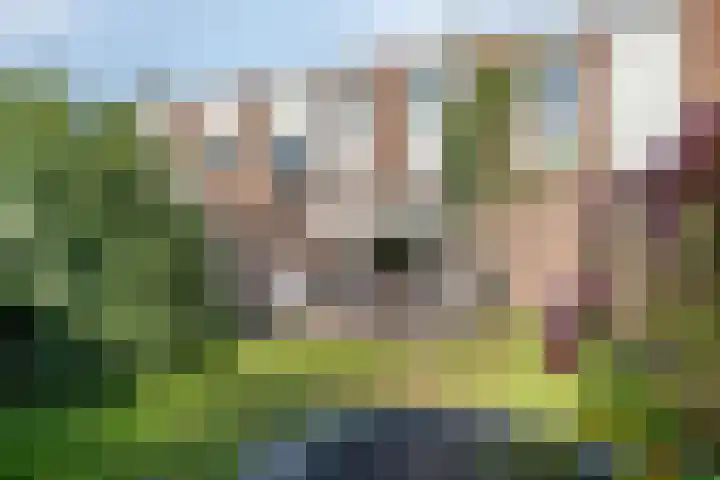 Forelstraat 3 Helmond thumbnail 31