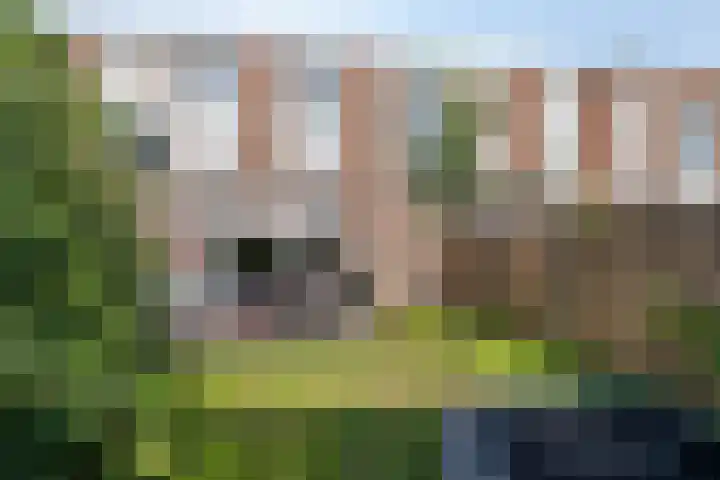 Forelstraat 3 Helmond thumbnail 32