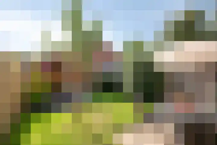Forelstraat 3 Helmond thumbnail 5