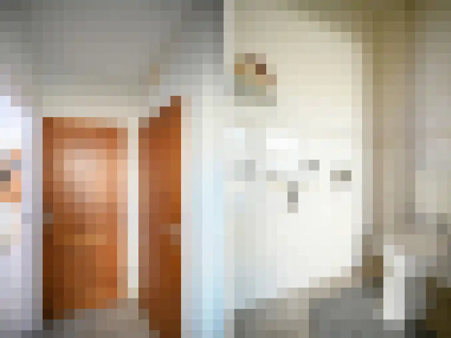 Forelstraat 4 Tilburg thumbnail 13