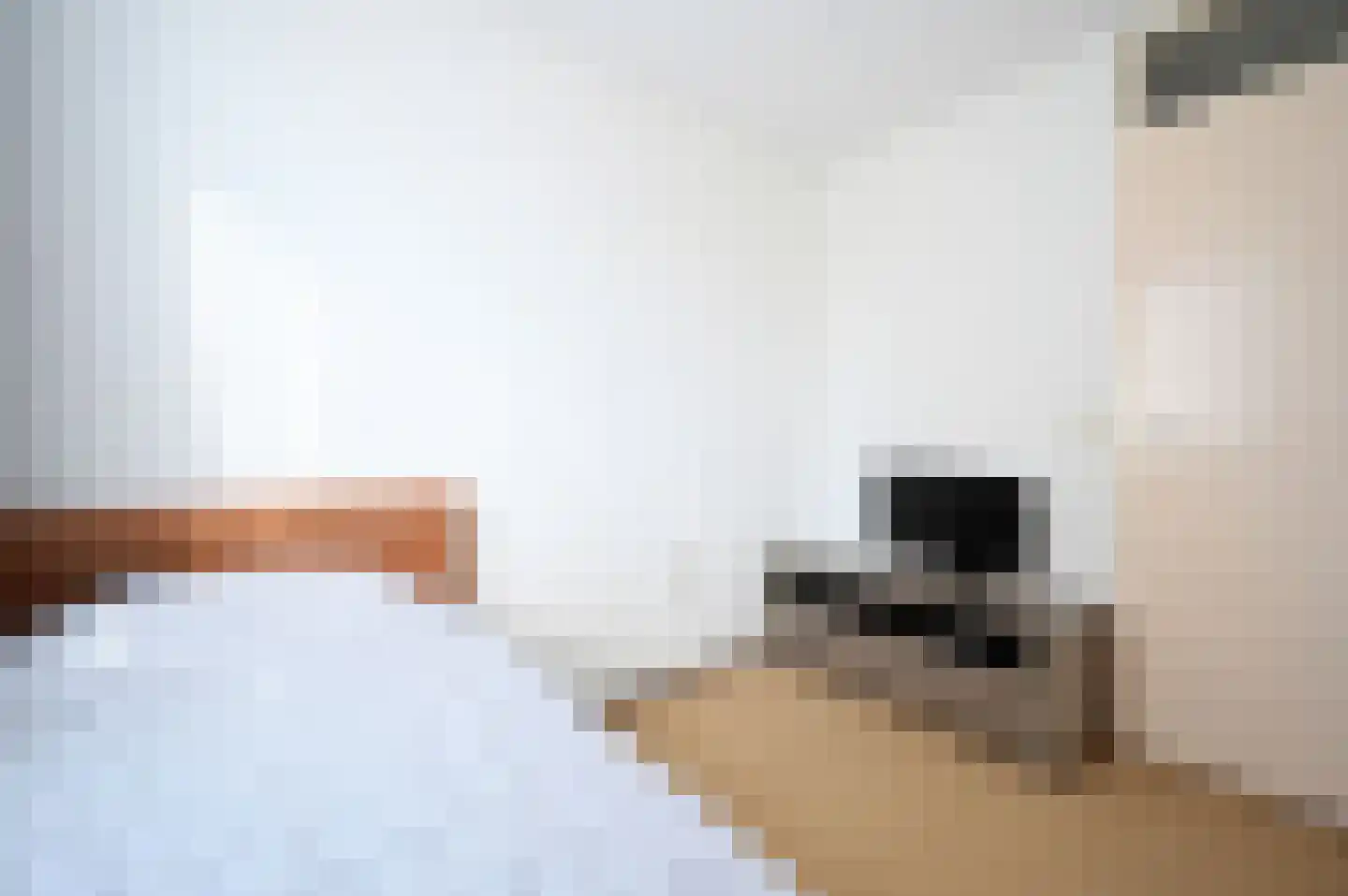 Forelstraat 4 Tilburg thumbnail 21