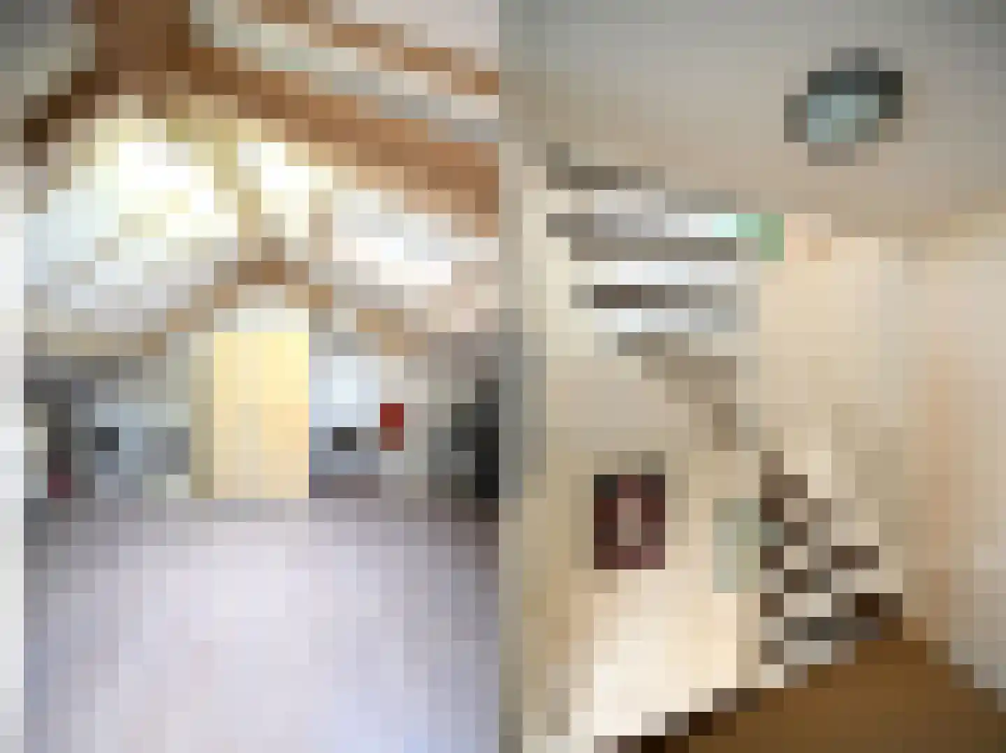 Forelstraat 4 Tilburg thumbnail 32