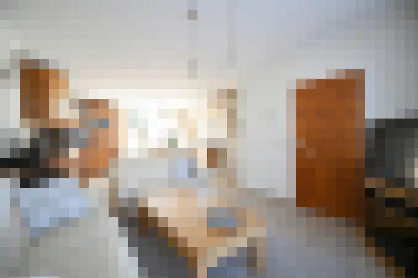 Forelstraat 4 Tilburg thumbnail 5