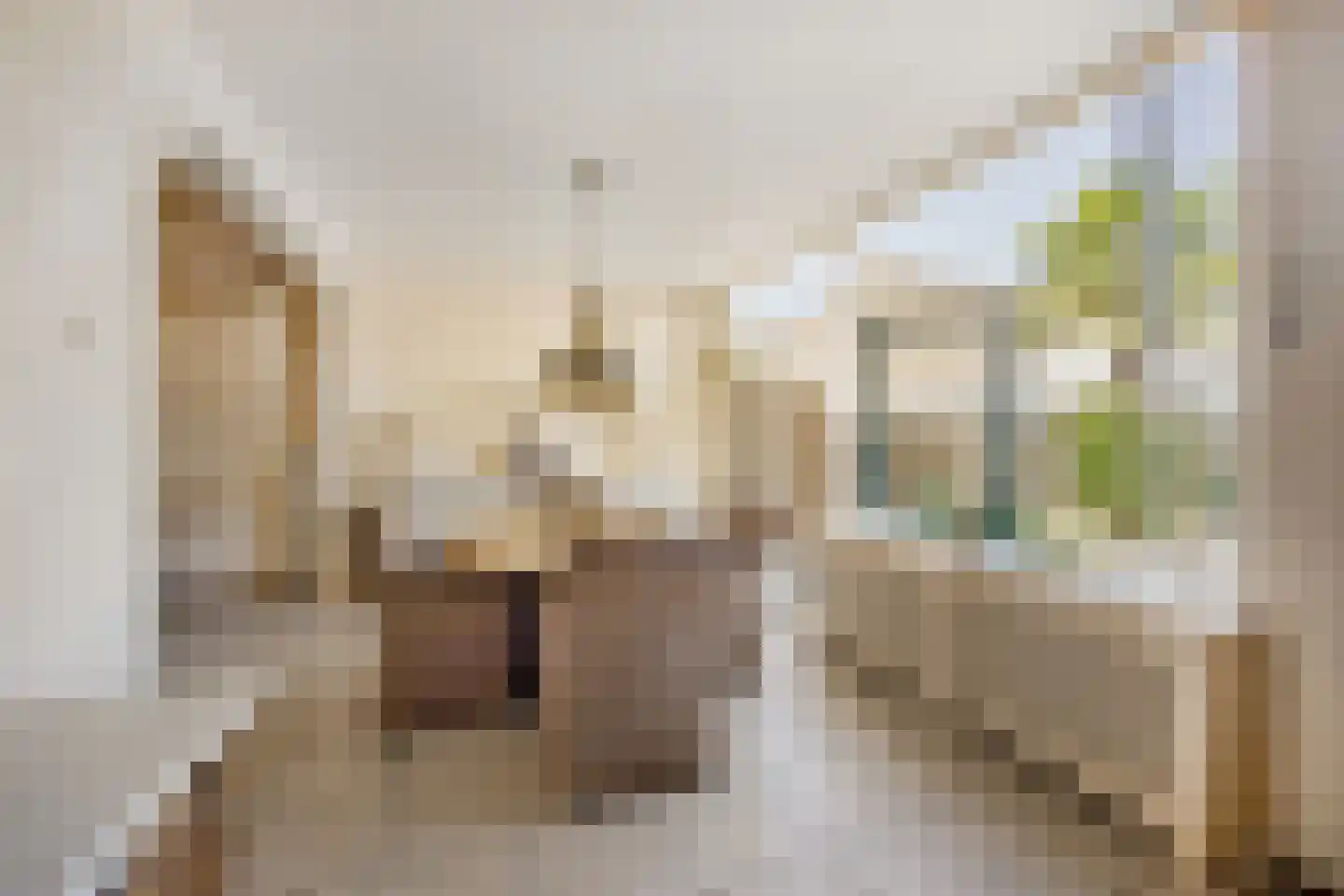Forelstraat 58 Haarlem thumbnail 9