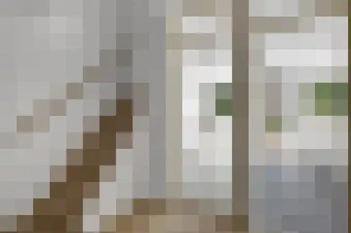 Forelstraat 6 Almere thumbnail 32