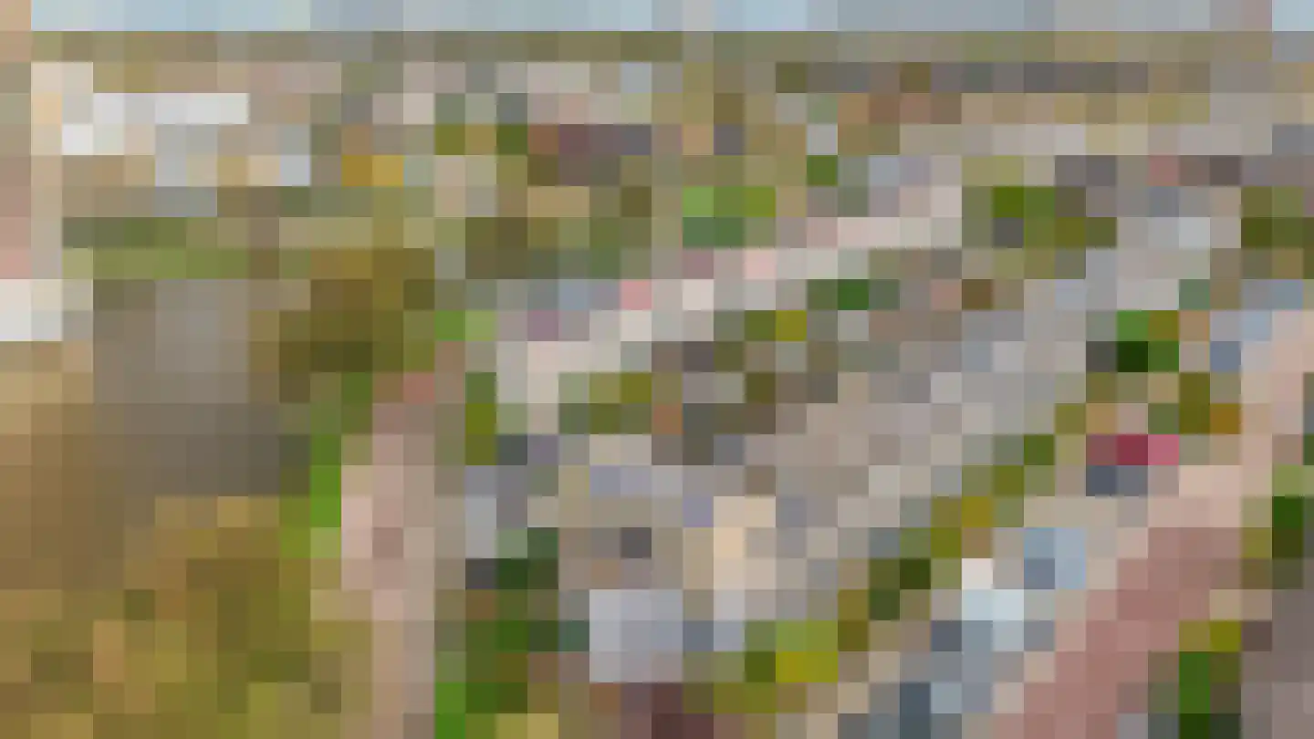 Forelstraat 6 Almere thumbnail 36