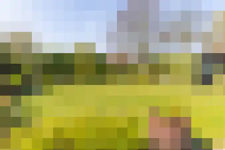 Forelstraat 6 Almere thumbnail 50