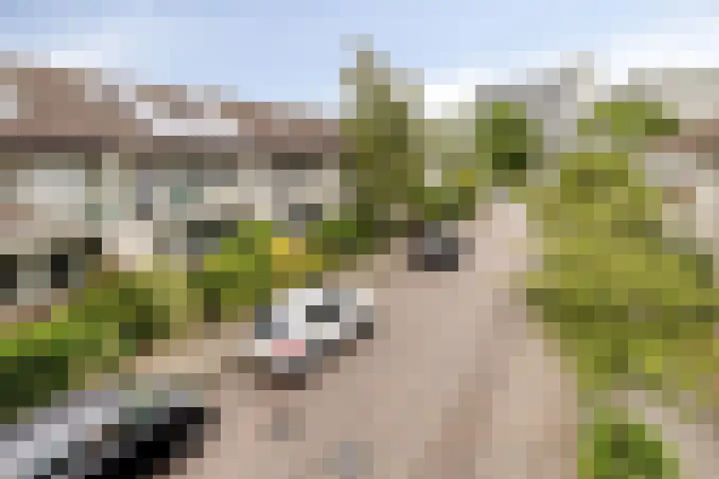 Forelstraat 68 Haarlem thumbnail 35
