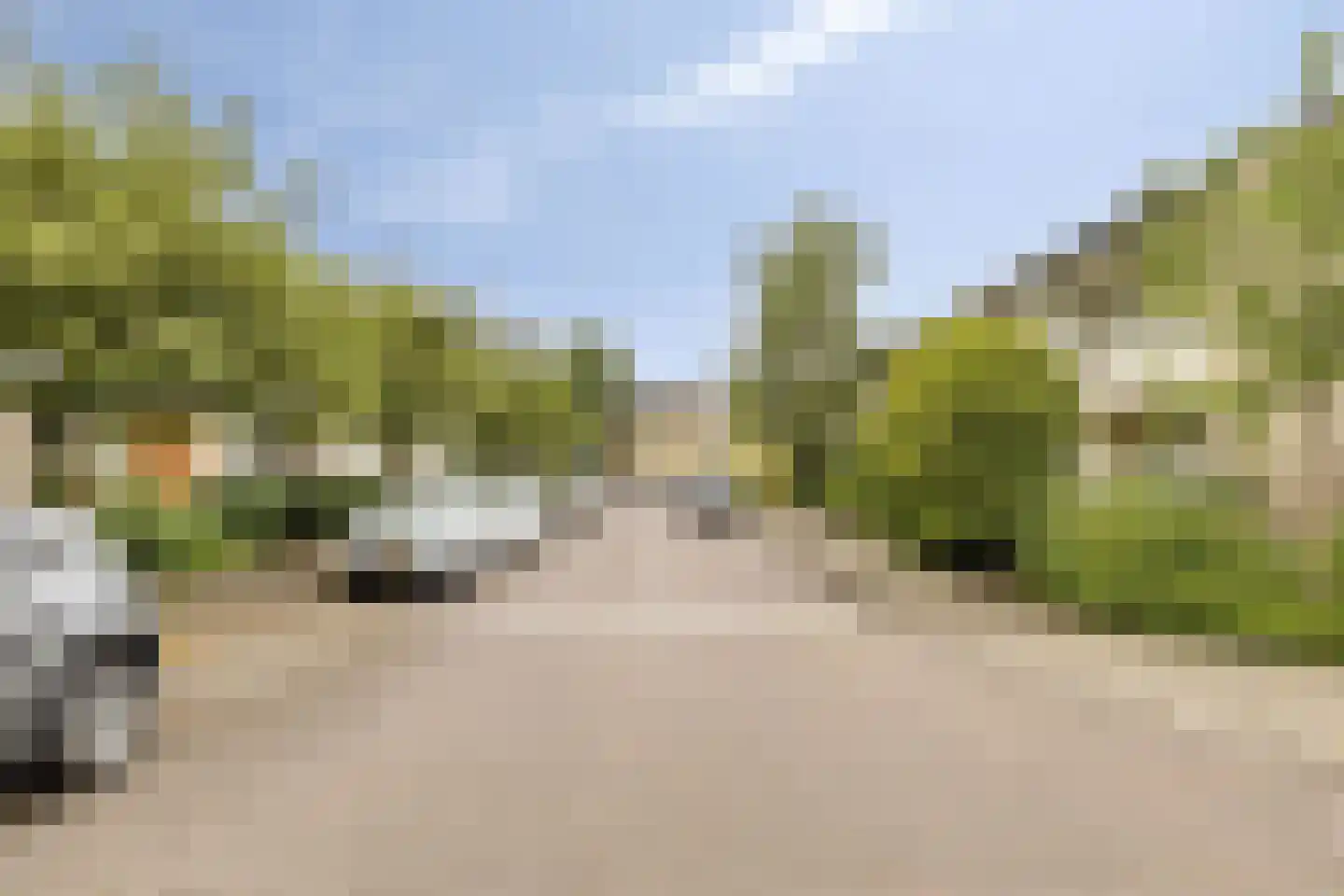 Forelstraat 68 Haarlem thumbnail 36