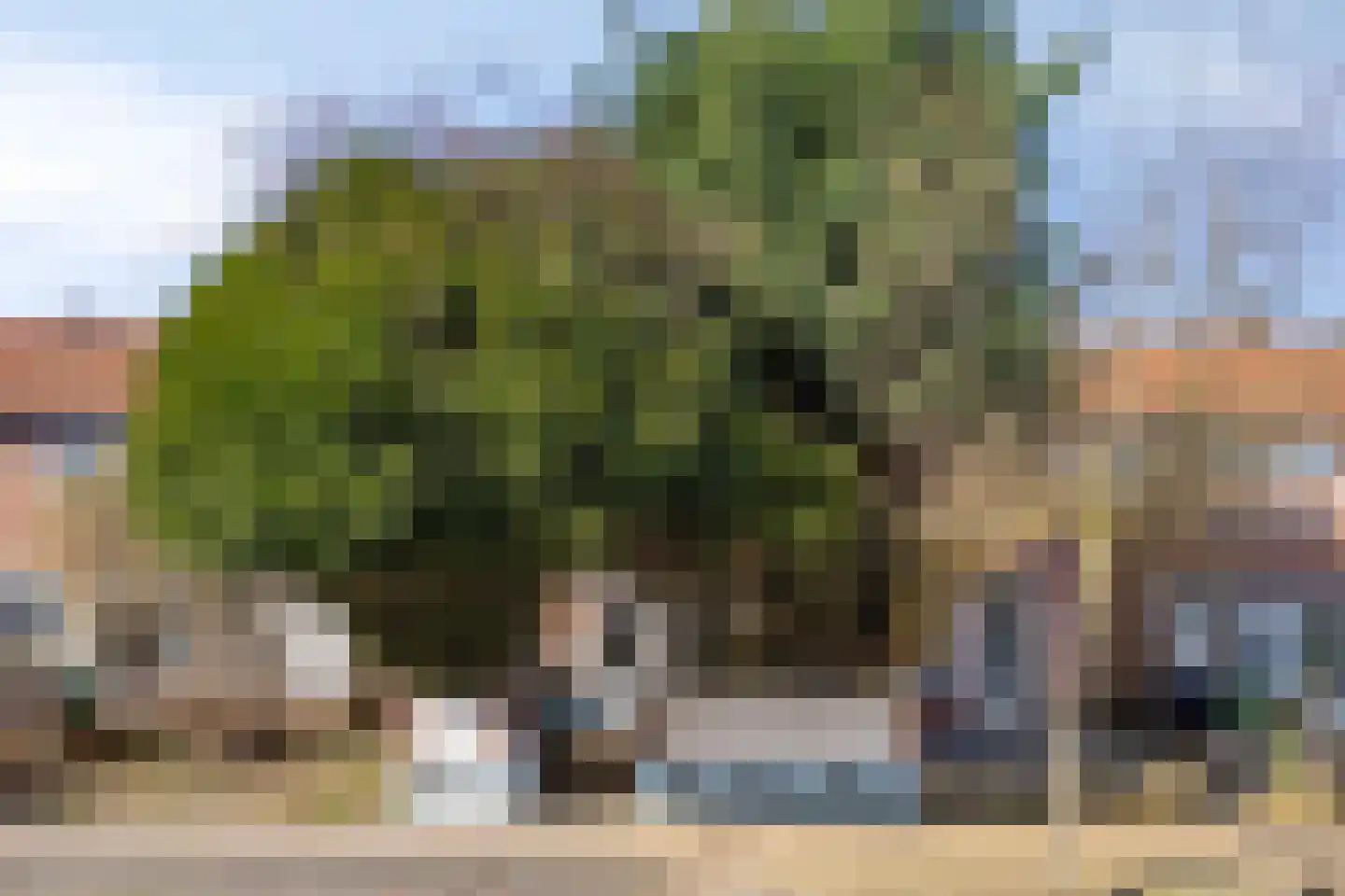 Forelstraat 92 Arnhem thumbnail 24