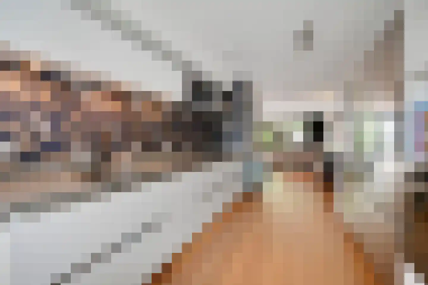 Forelvijver 4 Den Haag thumbnail 13