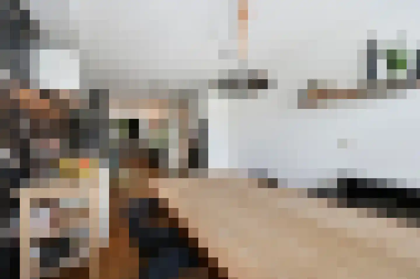 Forelvijver 4 Den Haag thumbnail 16